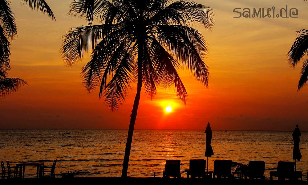 Bild-1: Beach Koh-Samui / Thailand